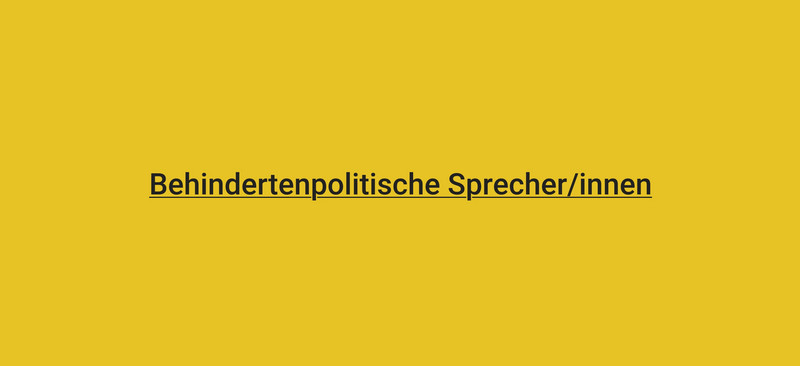 Grafische Verlinkung zu Behindertenpolitische Sprecherinnen